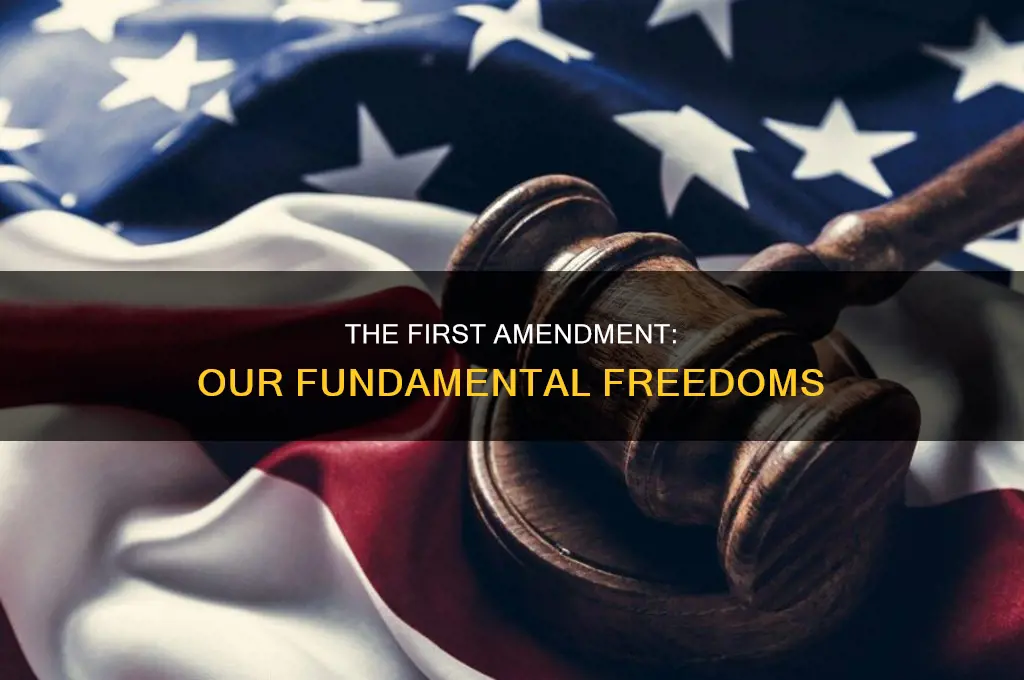 what rights are granted in the 1st amendment: