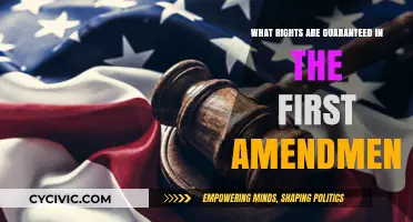 First Amendment: Our Fundamental Freedoms and Rights