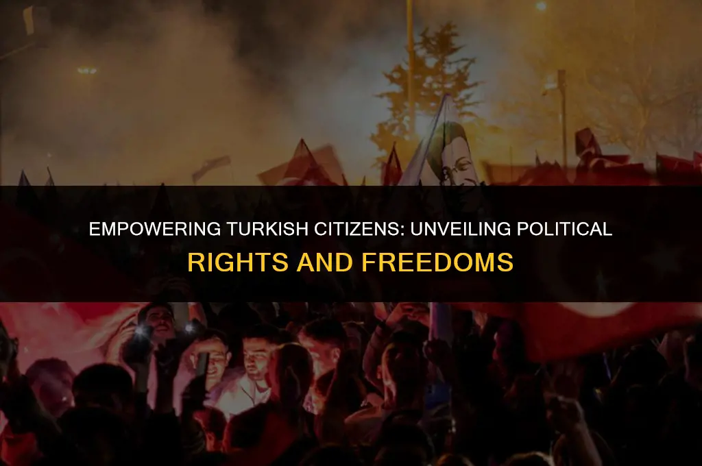 what rights do the citizens of turkey have in politics