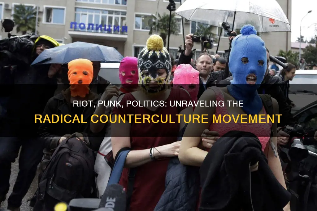 what riot punk rock politics