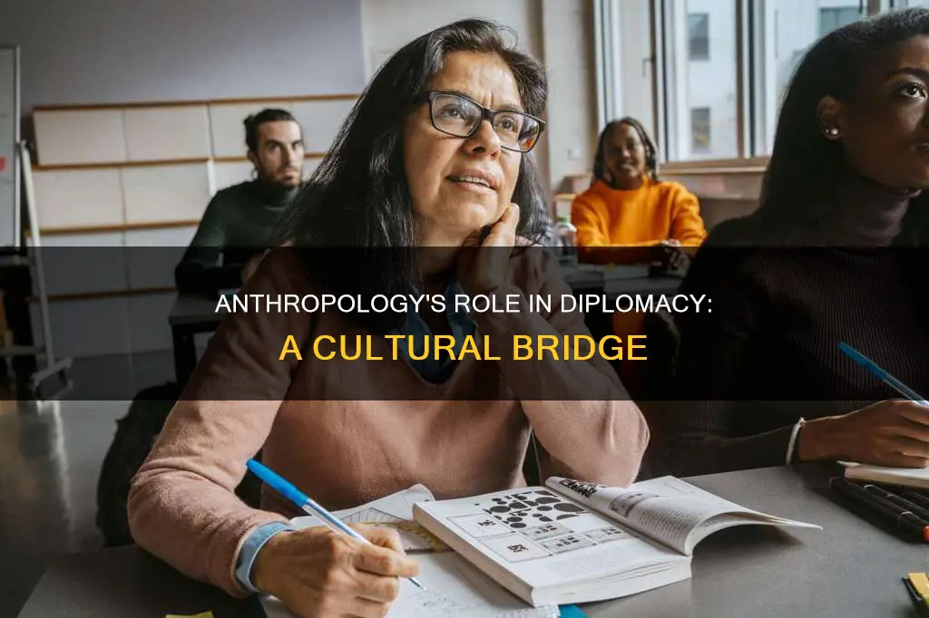 what role can anthropology play in diplomacy