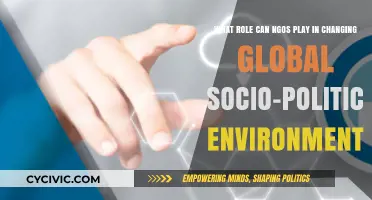 Empowering Change: The Vital Role of NGOs in Shaping Global Socio-Politics