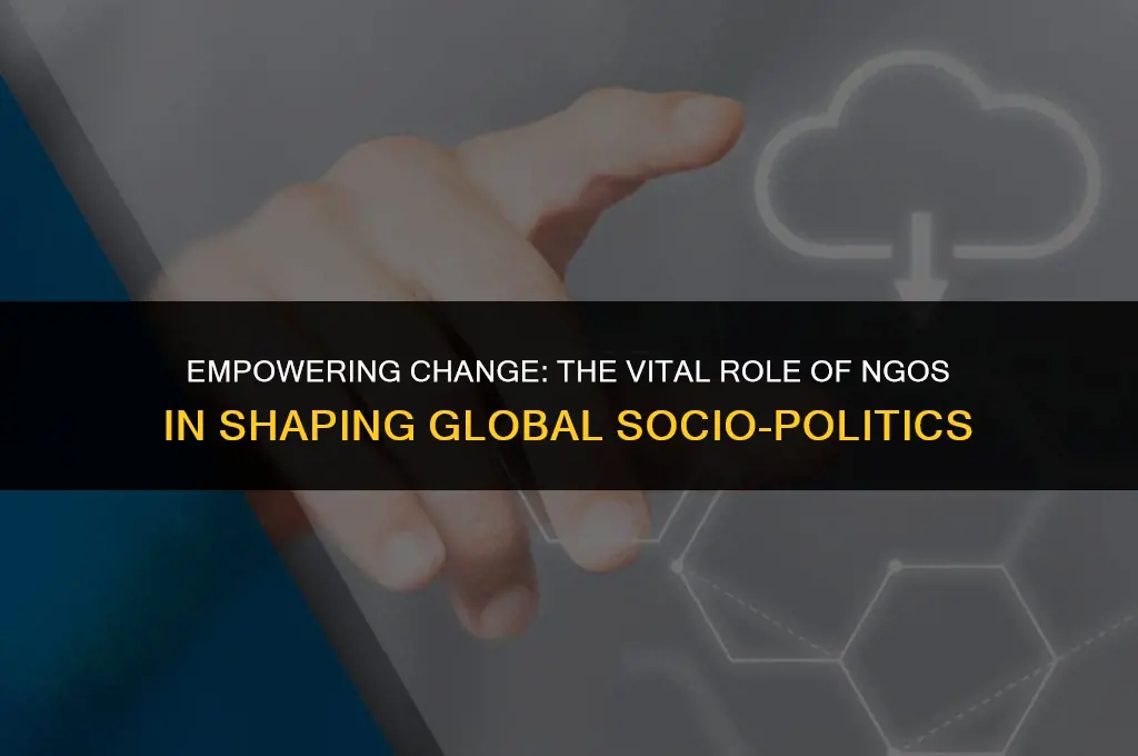 what role can ngos play in changing global socio-political environment