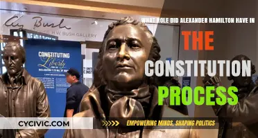 Hamilton's Influence on the US Constitution