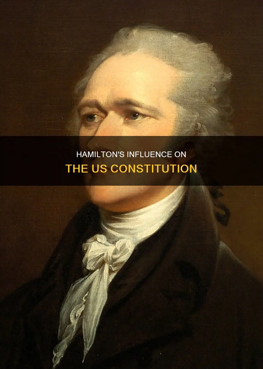 what role did alexander hamilton have in the constitution process