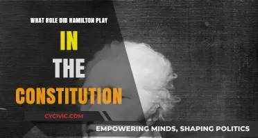 Hamilton's Influence on the Constitution