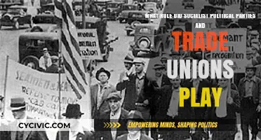 Socialist Parties and Trade Unions: Shaping Labor Rights and Politics