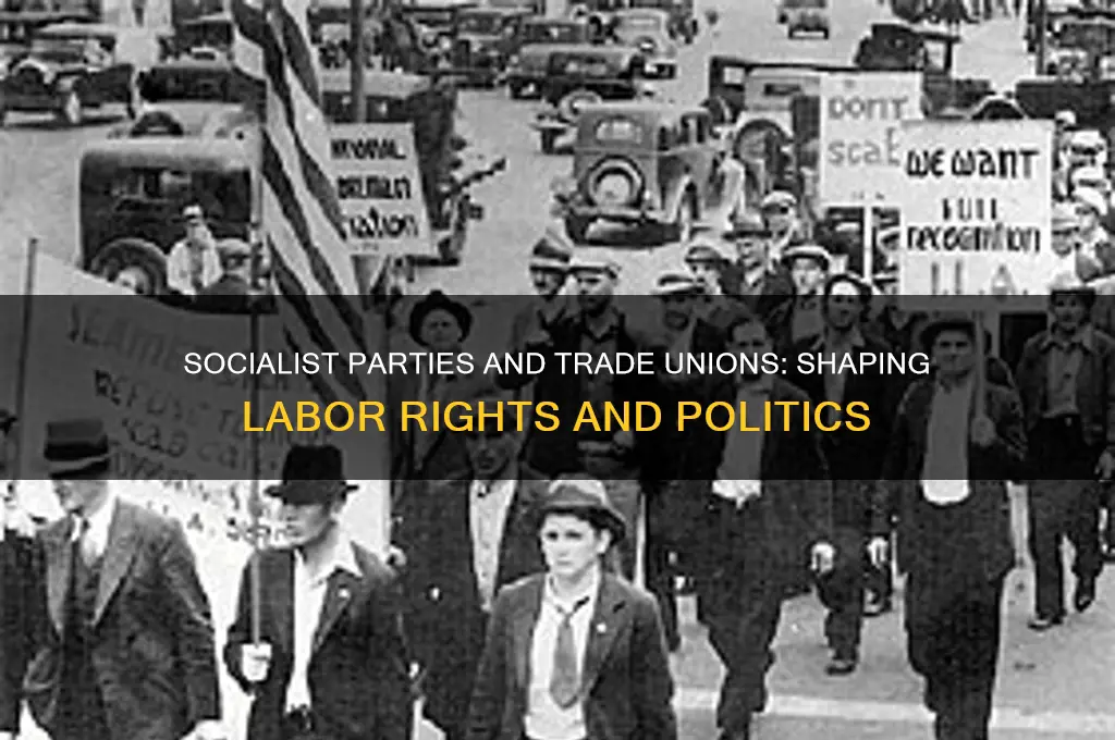 what role did socialist political parties and trade unions play