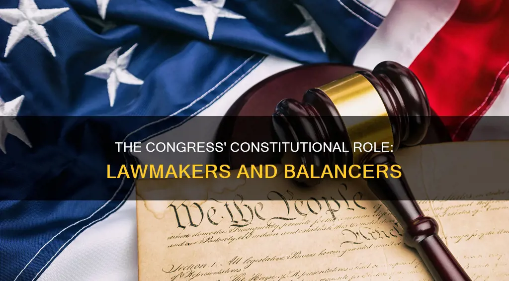 what role did the constitution give to the congress