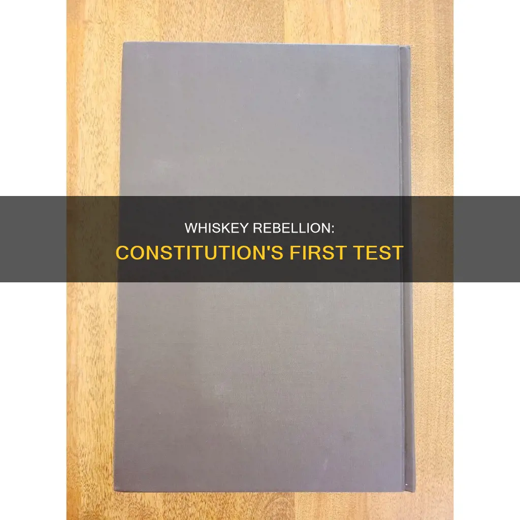 what role did the constitution play in the whiskey rebellion