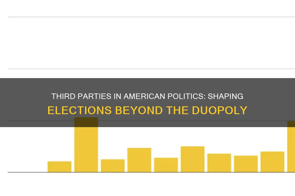 what role do 3rd parties play in american politics