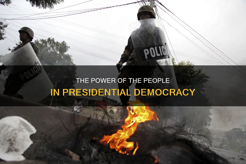 what role do citizens play in a presidential democracy