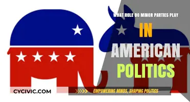 Minor Parties' Impact: Shaping American Politics Beyond the Two-Party System