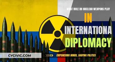 Nuclear Weapons: Diplomacy's Double-Edged Sword