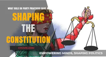 Practices of Parties: Shaping the Constitution