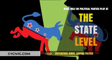 State-Level Political Parties: Shaping Policies, Power, and Public Interests