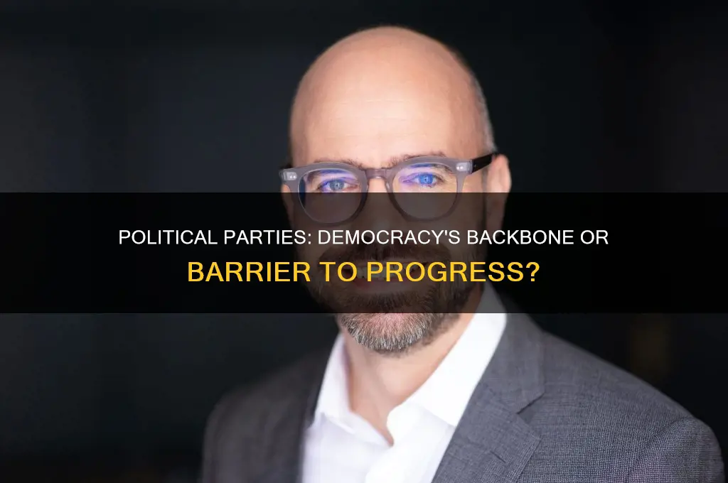 what role do political parties play in a democracy