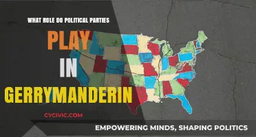 How Political Parties Shape Districts Through Gerrymandering Strategies
