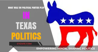 Political Parties in Texas: Shaping Policies, Elections, and Governance