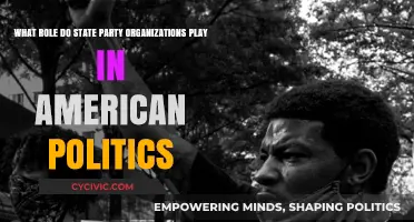 State Party Organizations: Shaping American Politics and Policy Outcomes