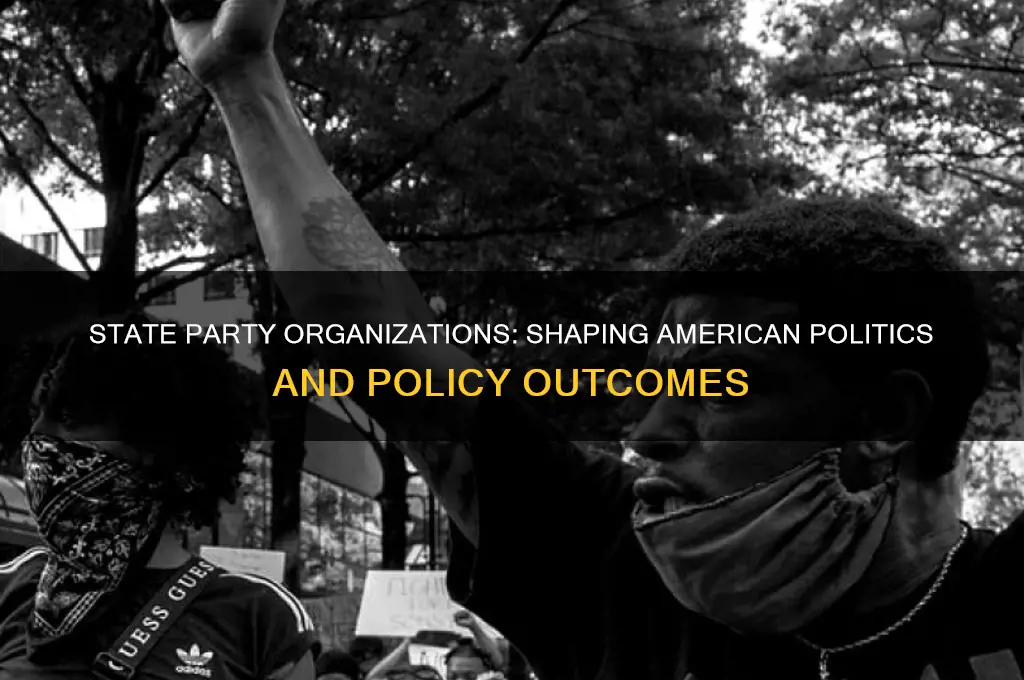 what role do state party organizations play in american politics