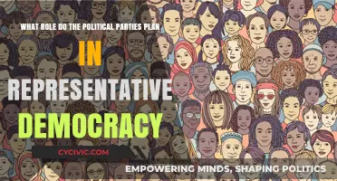 Political Parties' Role in Shaping Representative Democracy: Power and Influence
