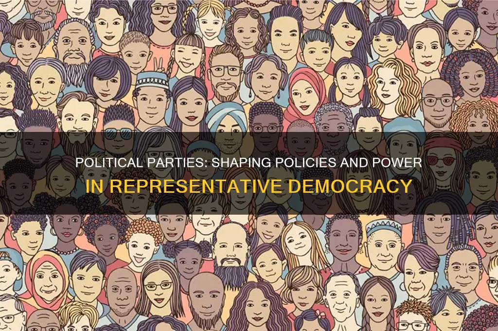 what role do the political parties play in representative democracy