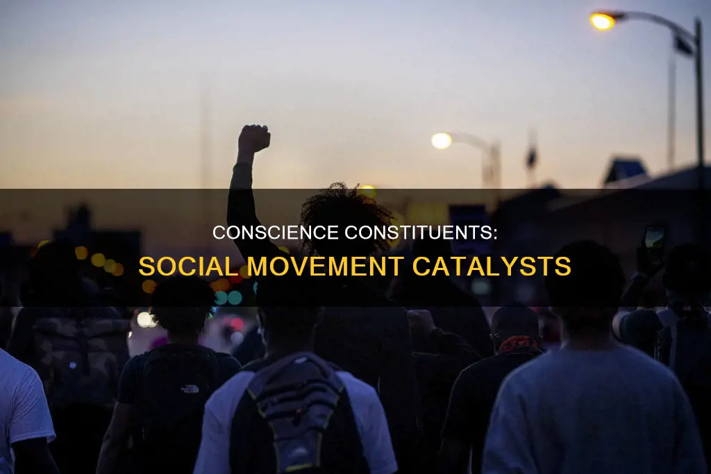 what role does conscience constitutents play in social movement