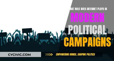 The Internet's Impact on Political Campaigns and Elections