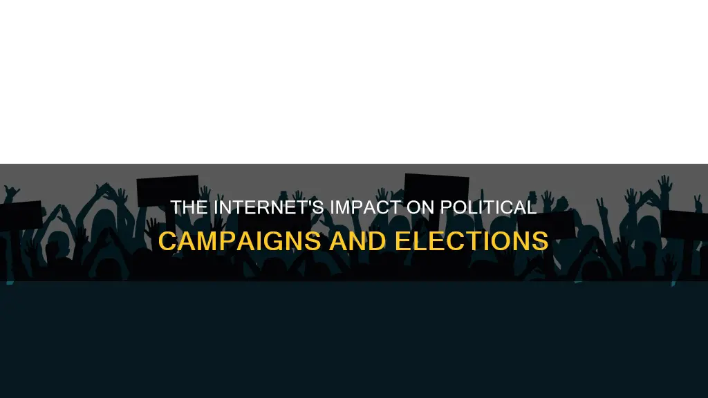 what role does internet plays in modern political campaigns