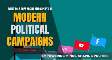Social Media's Role in Political Campaigns: A Modern Perspective