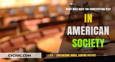 The Constitution: America's Founding Document and its Role
