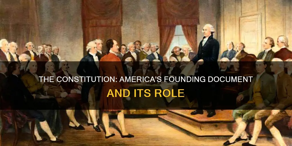 what role does the constitution play in american society