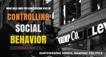 Constitution's Role in Shaping Social Behavior