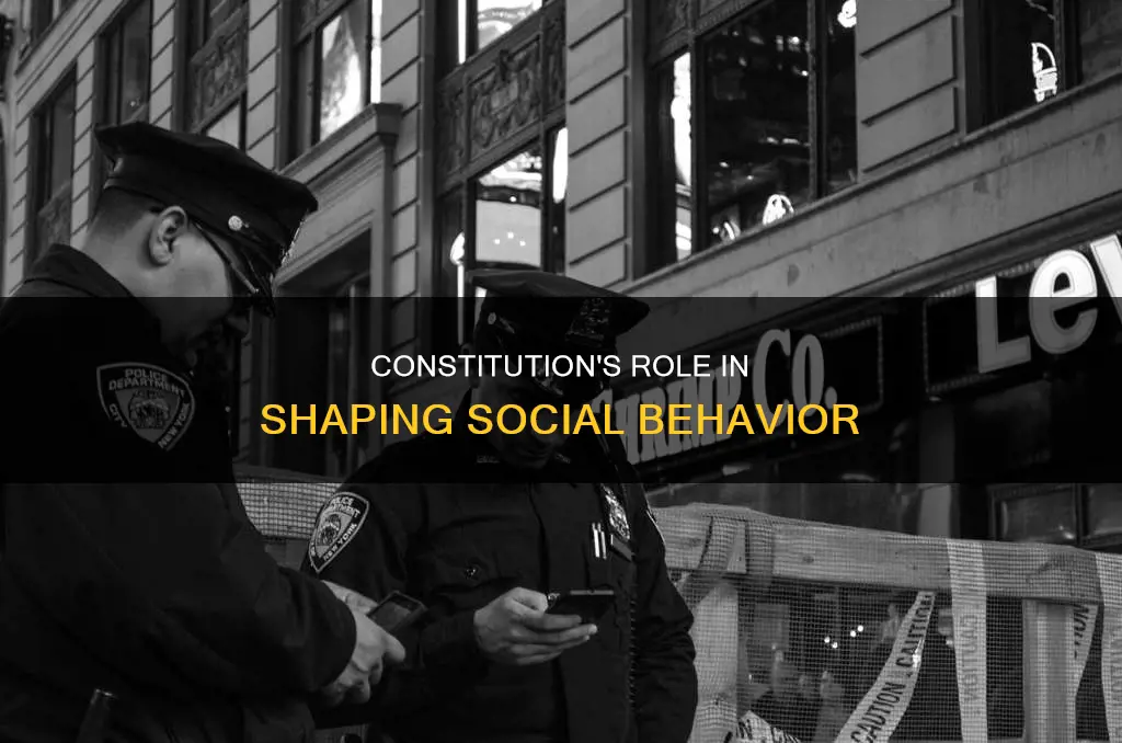 what role does the constitution play in controlling social behavior