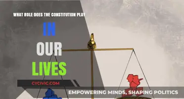 The Constitution: Our Rights and Freedoms' Foundation