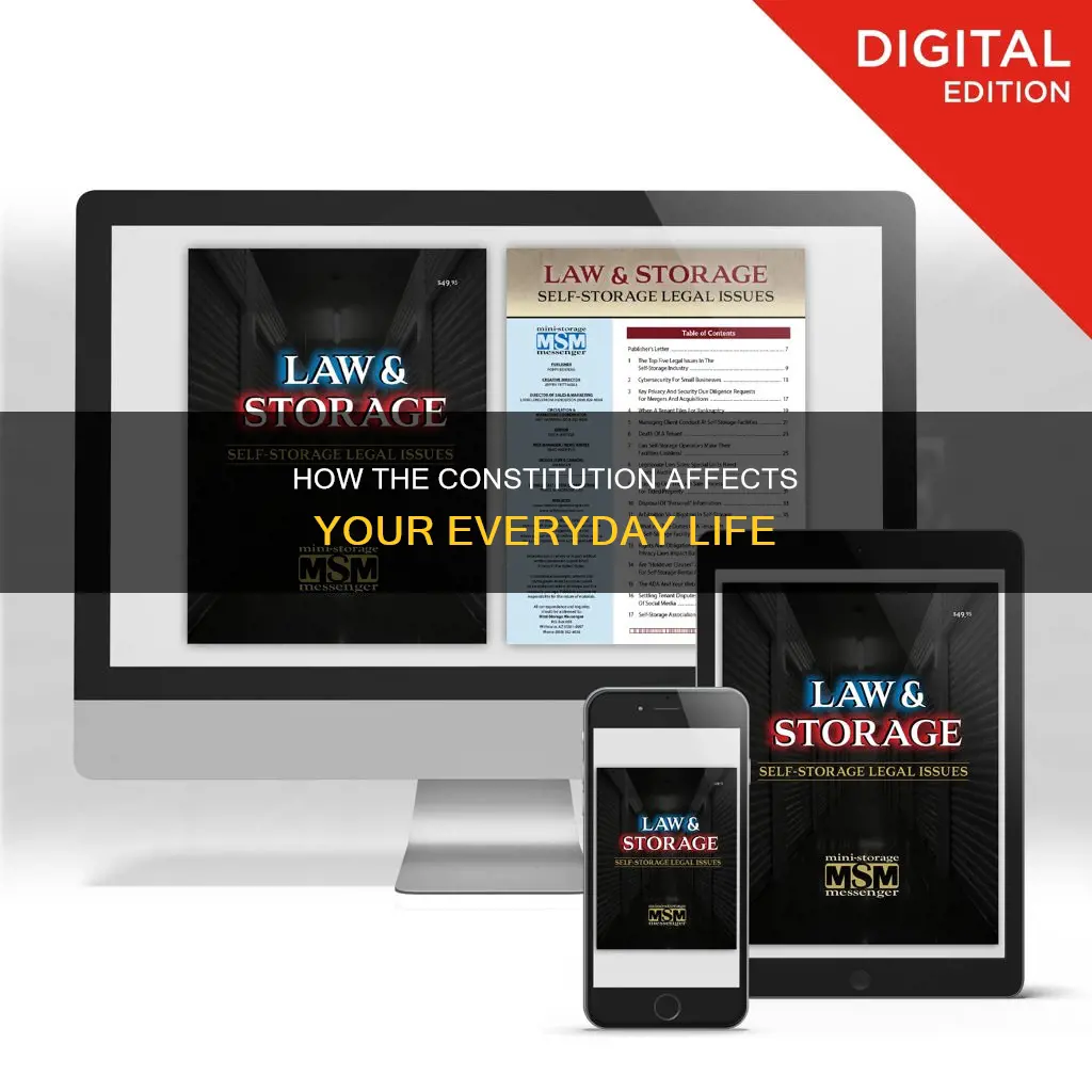 what role does the constitution play in your daily life