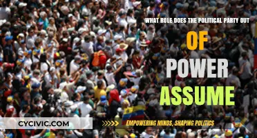 The Opposition's Role: Shaping Democracy from the Sidelines