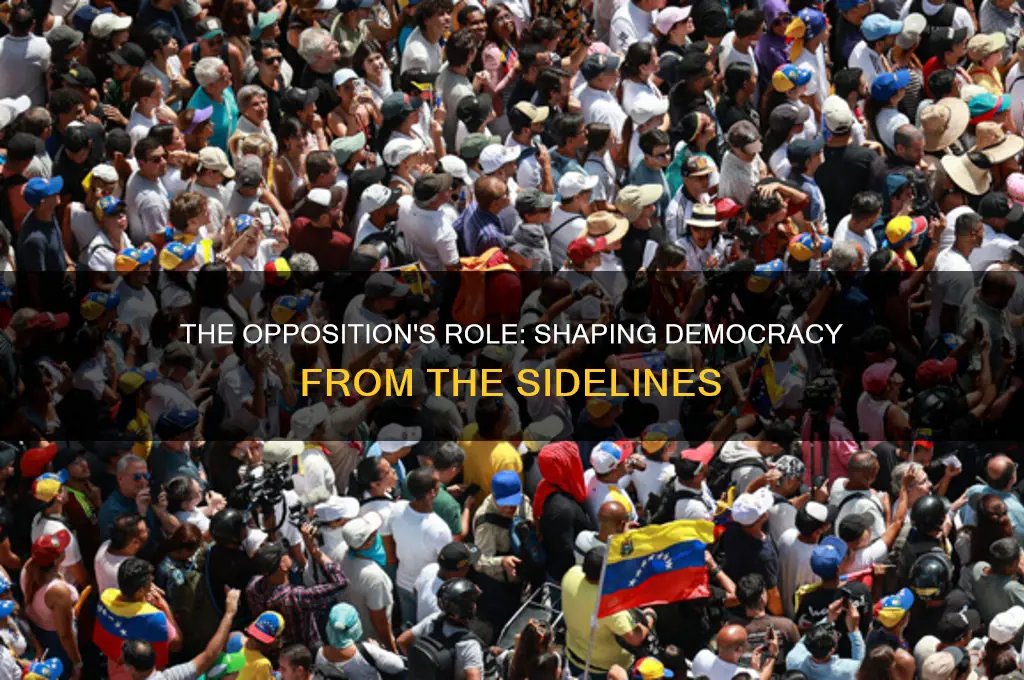 what role does the political party out of power assume