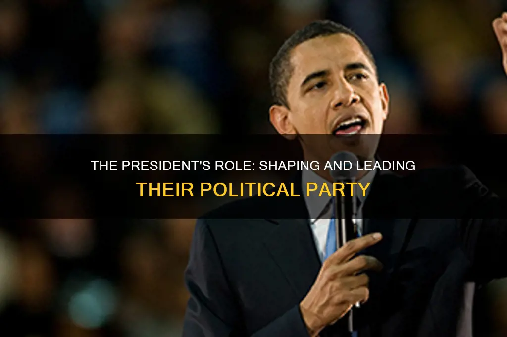 what role does the president play for his political party