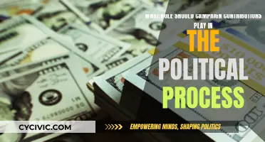 Campaign Contributions: Political Process Friend or Foe?