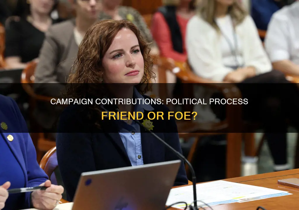 what role should campaign contributions play in the political process