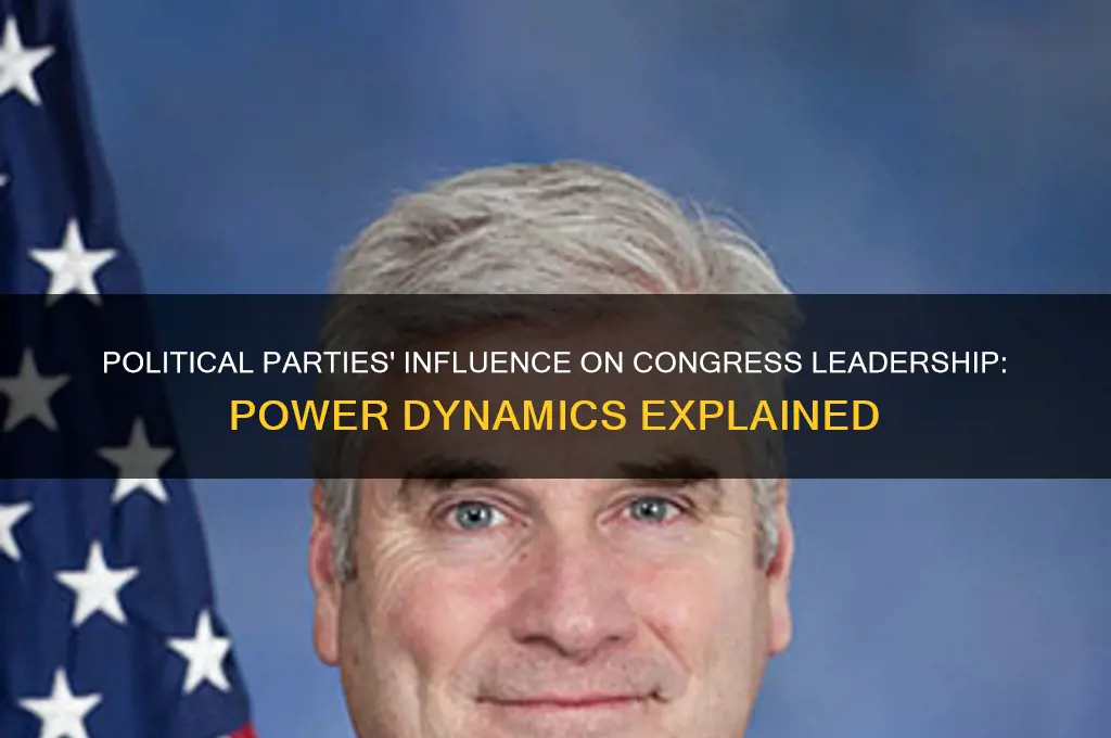 what role to political parties oplay in congress leadership