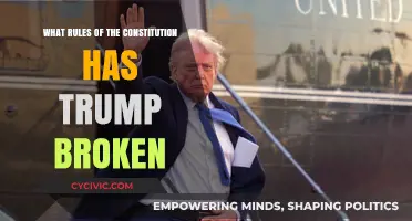 Trump's Constitutional Violations: A Comprehensive Overview