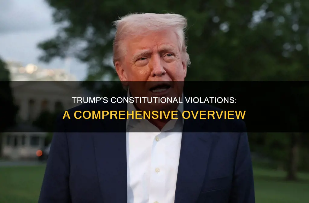 what rules of the constitution has trump broken