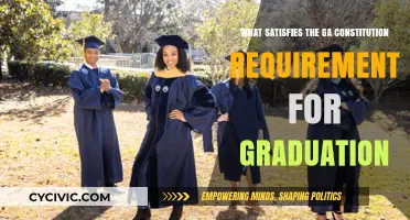 Georgia's Constitution: Graduation Requirements Explained