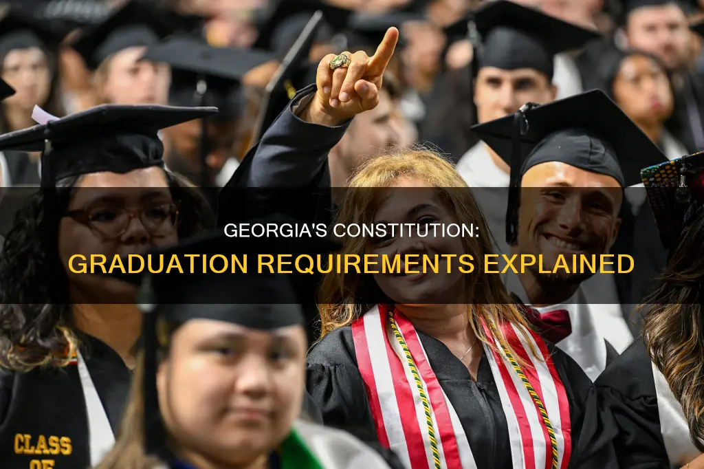 what satisfies the ga constitution requirement for graduation