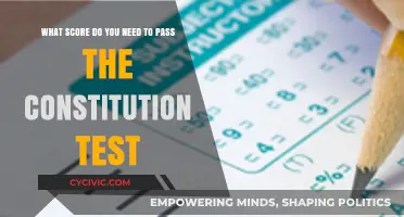 Passing the Constitution Test: What Score Do You Need?