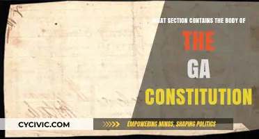 Exploring the Core of Georgia's Constitution