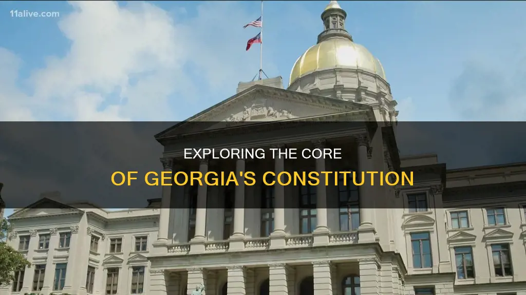 what section contains the body of the ga constitution